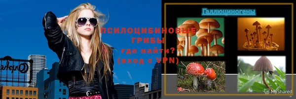 эйфоретик Беломорск