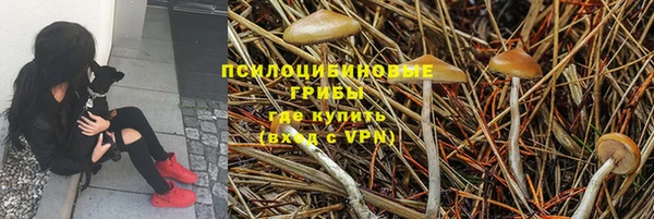 эйфоретик Беломорск